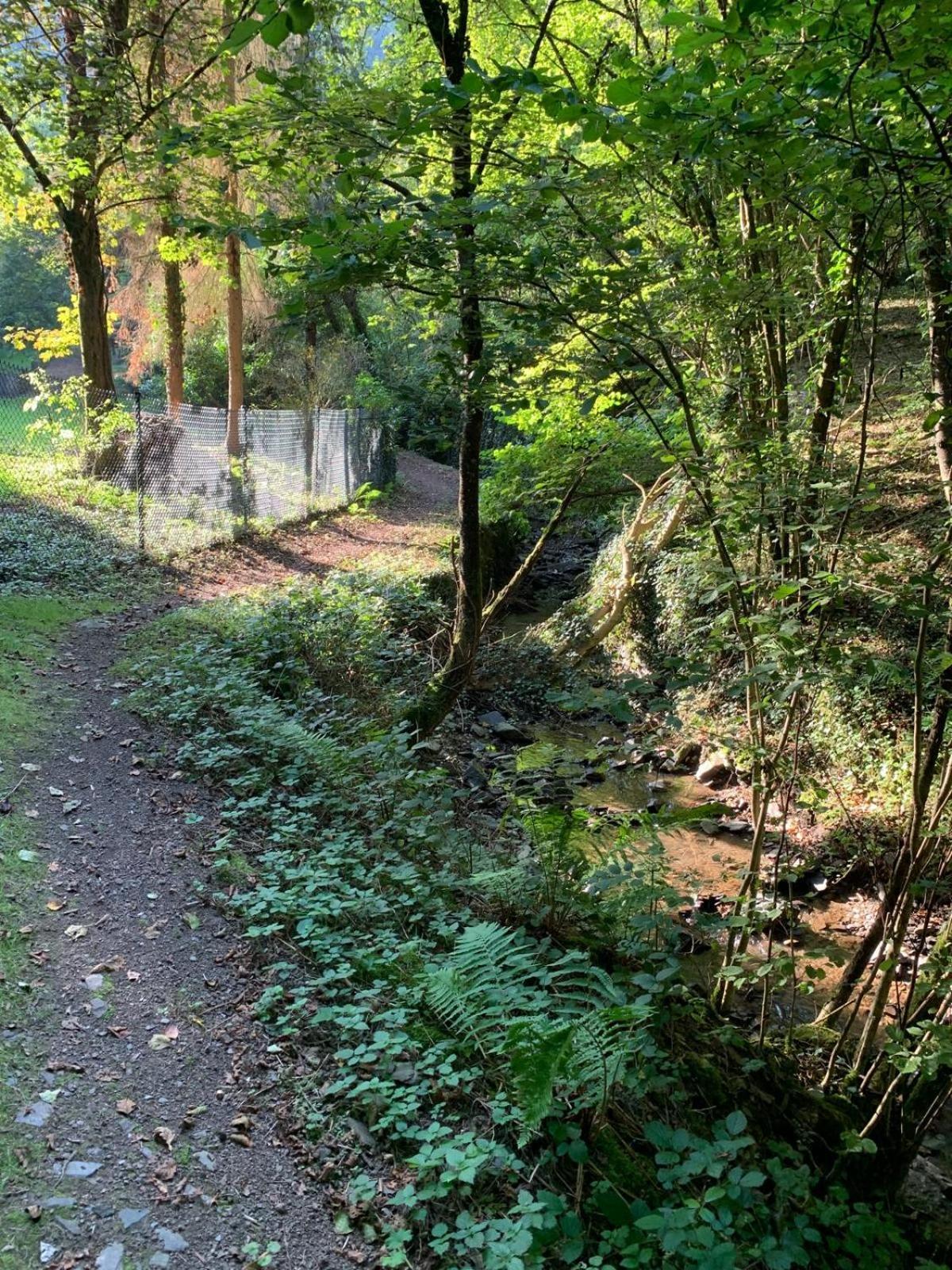 Deni'S Ferienwohnungen Klotten Esterno foto