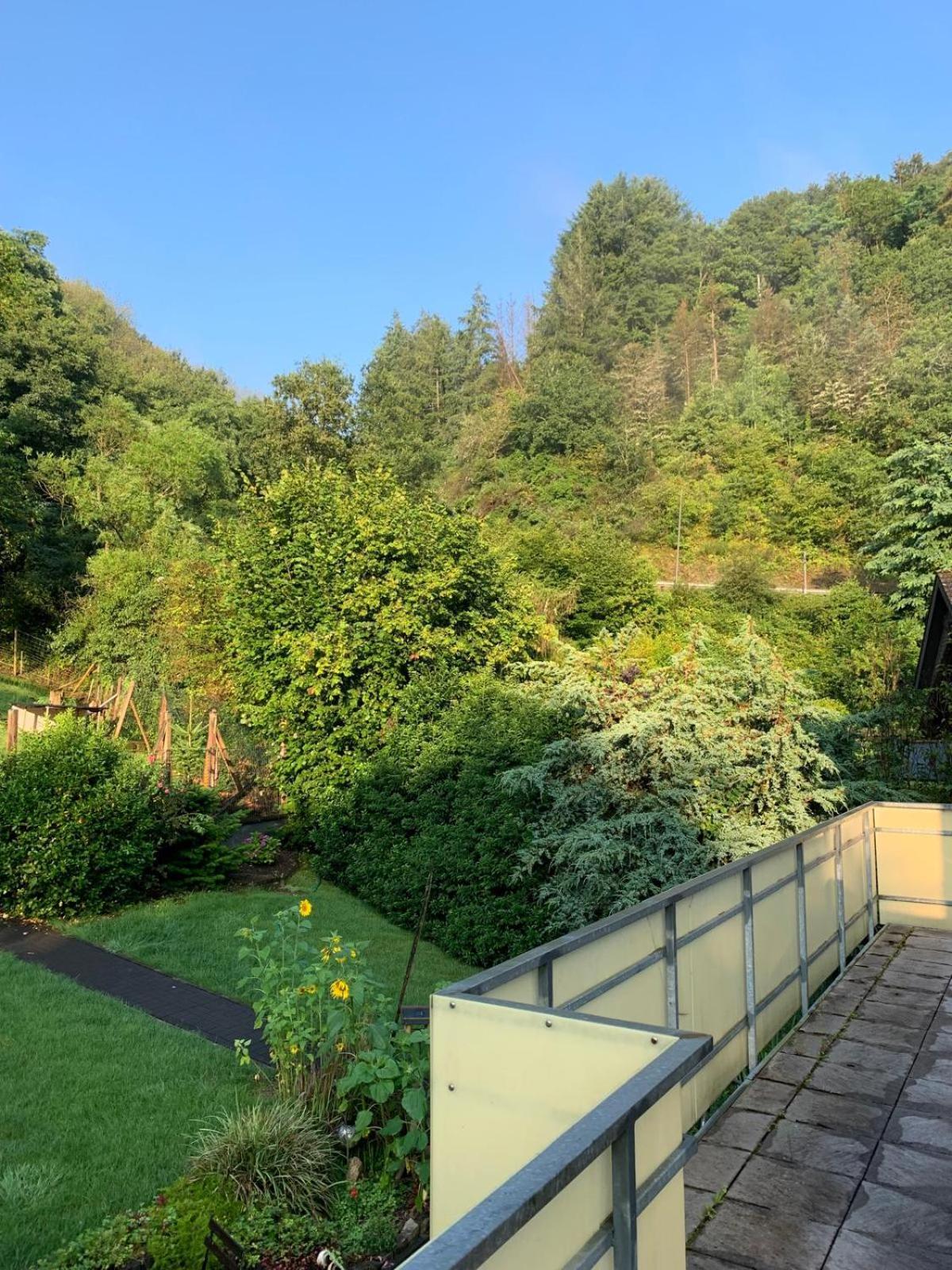 Deni'S Ferienwohnungen Klotten Esterno foto