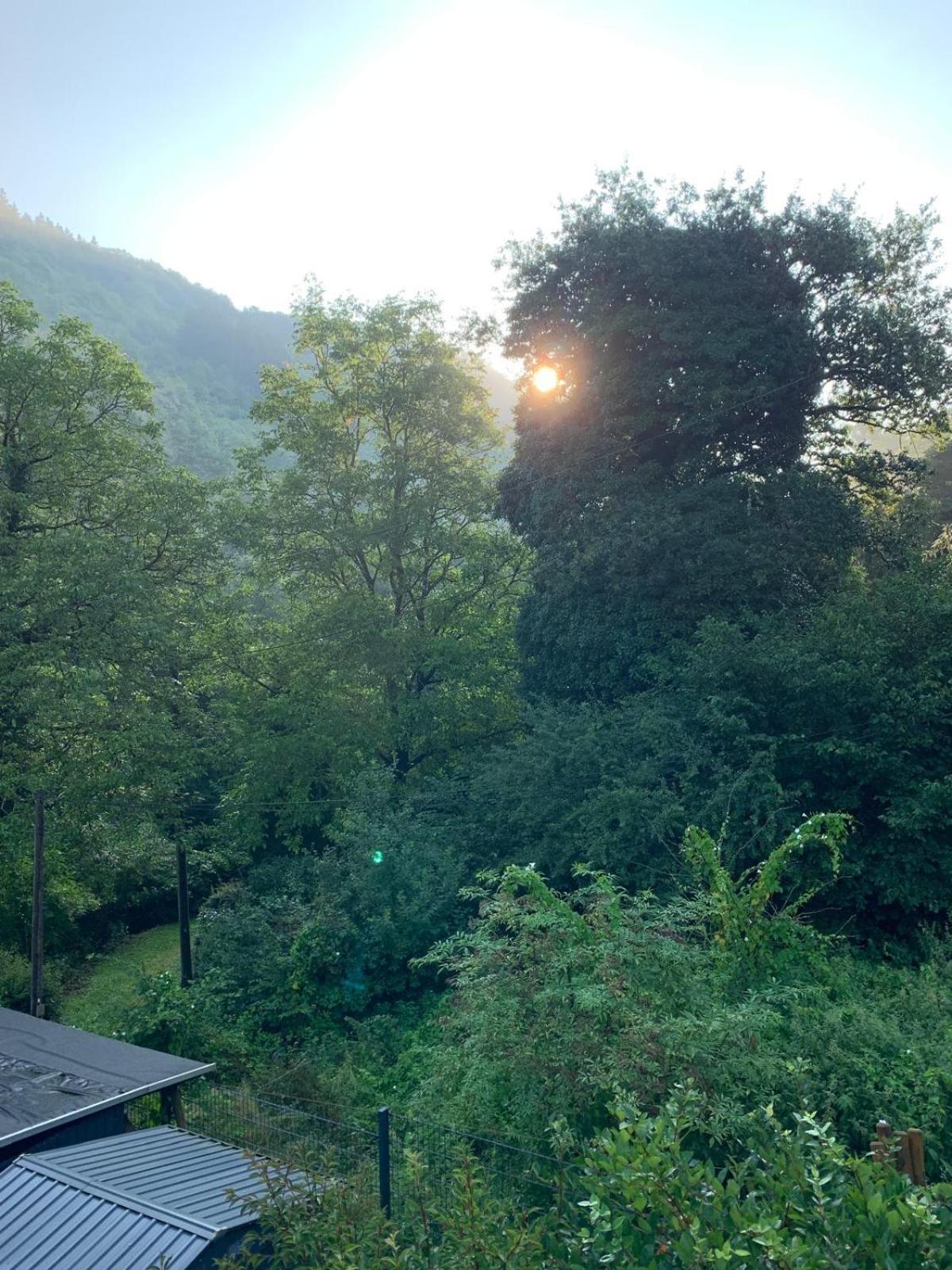 Deni'S Ferienwohnungen Klotten Esterno foto