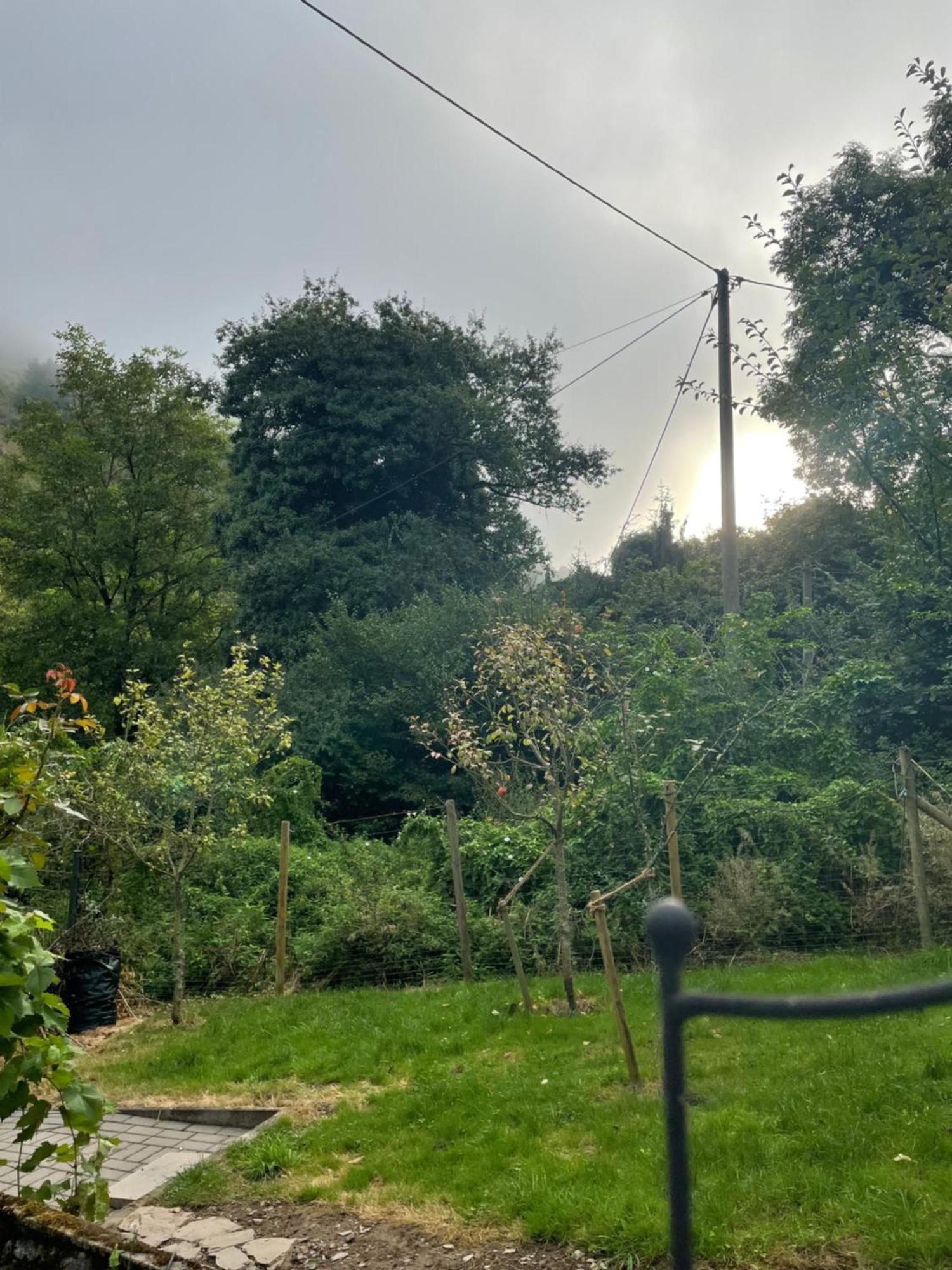 Deni'S Ferienwohnungen Klotten Esterno foto