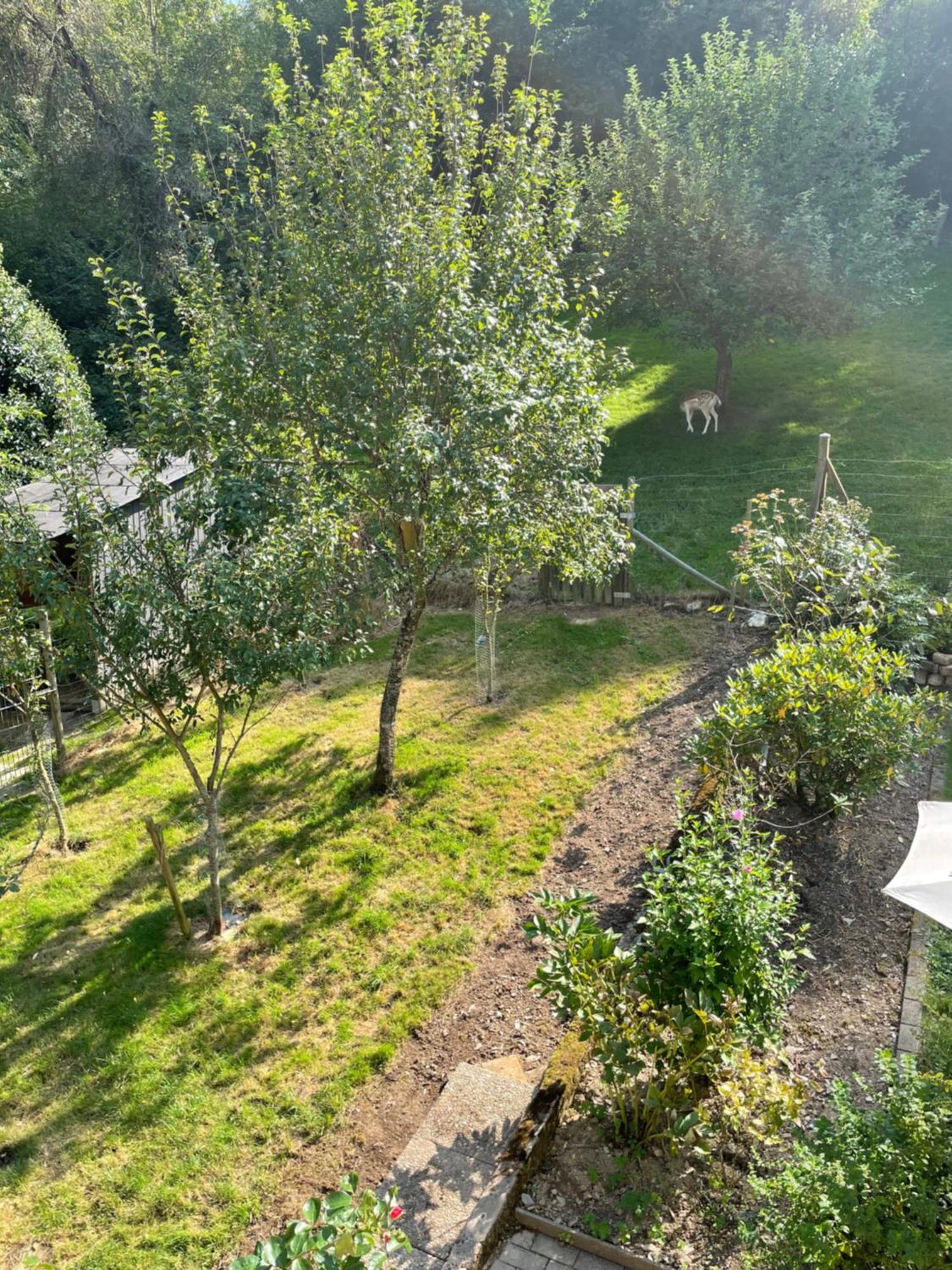 Deni'S Ferienwohnungen Klotten Esterno foto